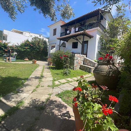 Eleni Del Sol Apartment Скопелос Екстериор снимка